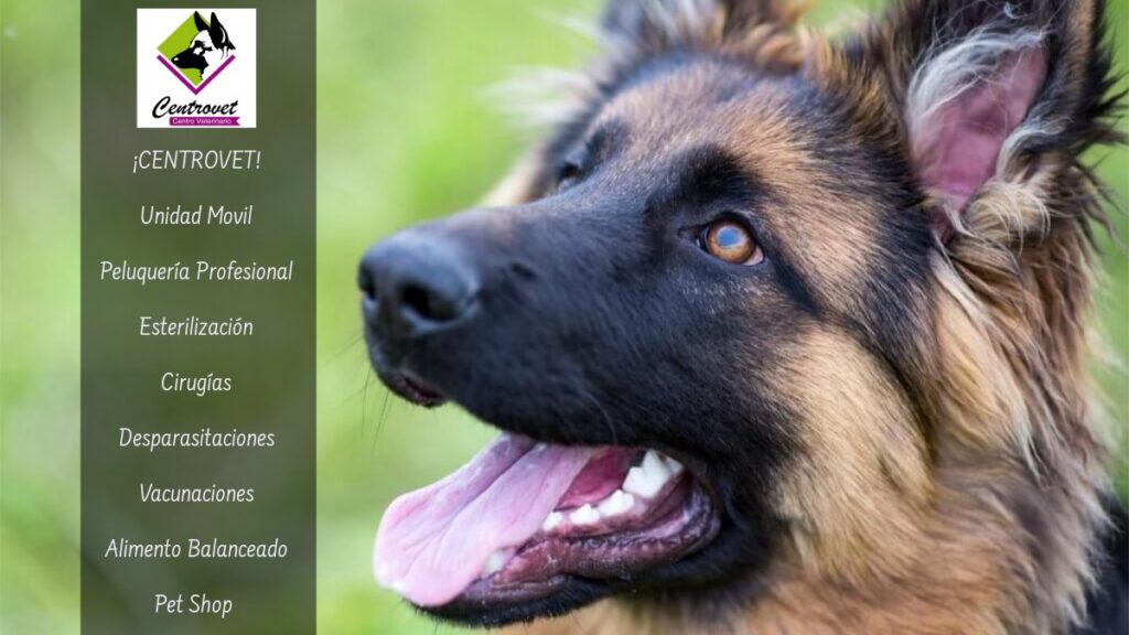 476161495_1139327598198180_3666503905496170128_n