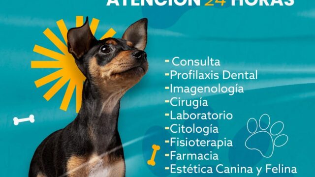 476175159_610097291773587_3141160105967056549_n