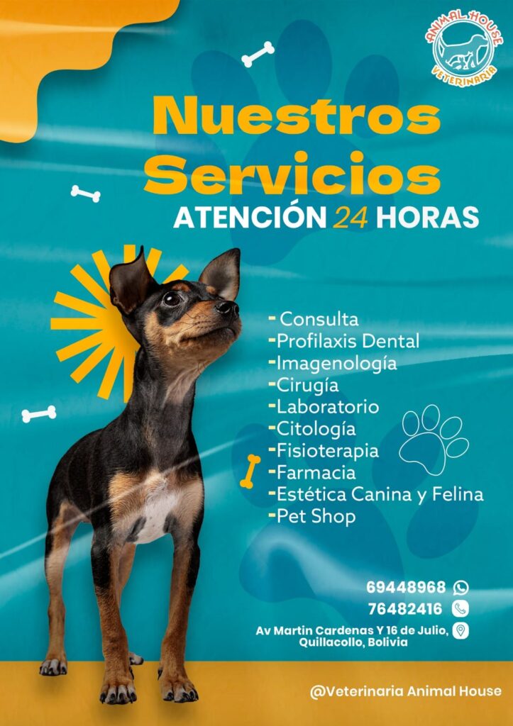 476175159_610097291773587_3141160105967056549_n