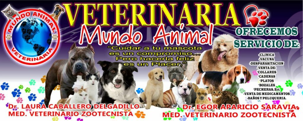 476343810_1078061344122619_2551581357045201990_n