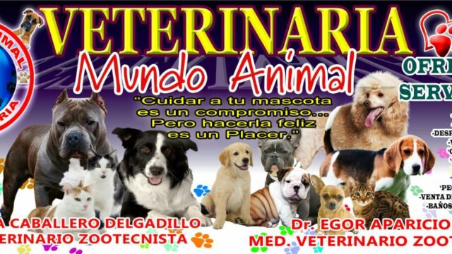 476343810_1078061344122619_2551581357045201990_n