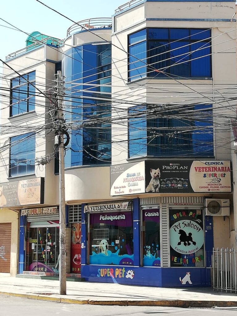 476431137_1215677537230603_5831834086274771567_n