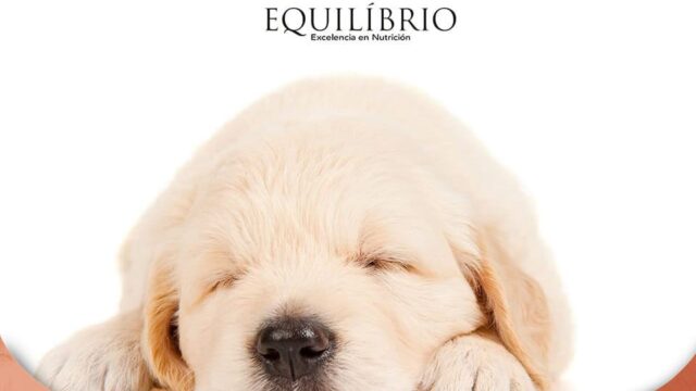 476464618_1018220530324858_4681016452752531925_n