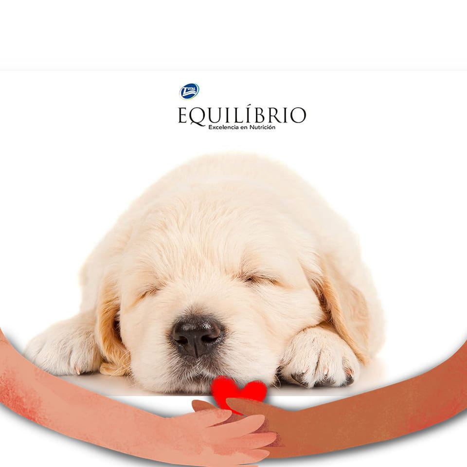 476464618_1018220530324858_4681016452752531925_n