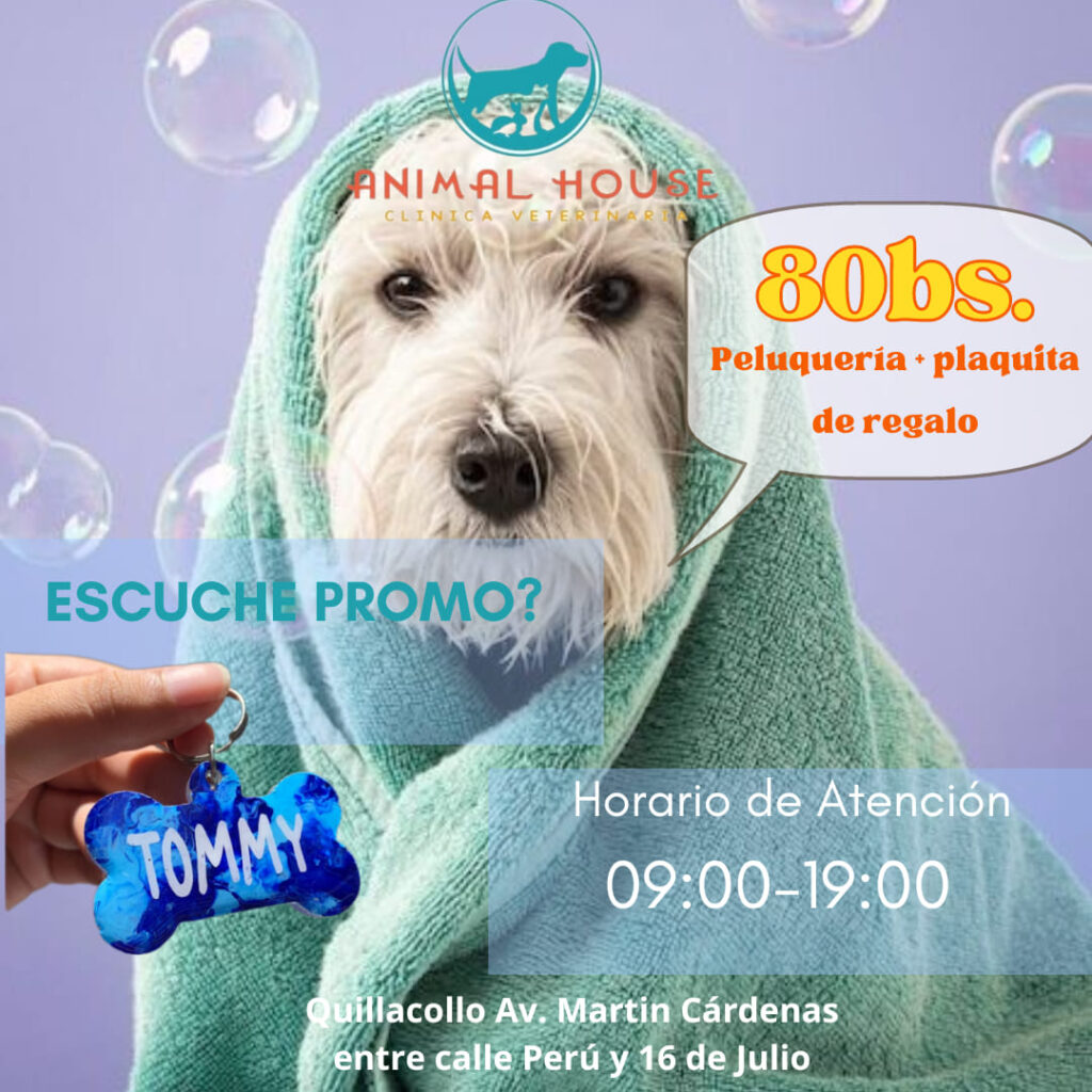 477440860_613795481403768_8081770207245999228_n