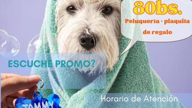 477440860_613795481403768_8081770207245999228_n