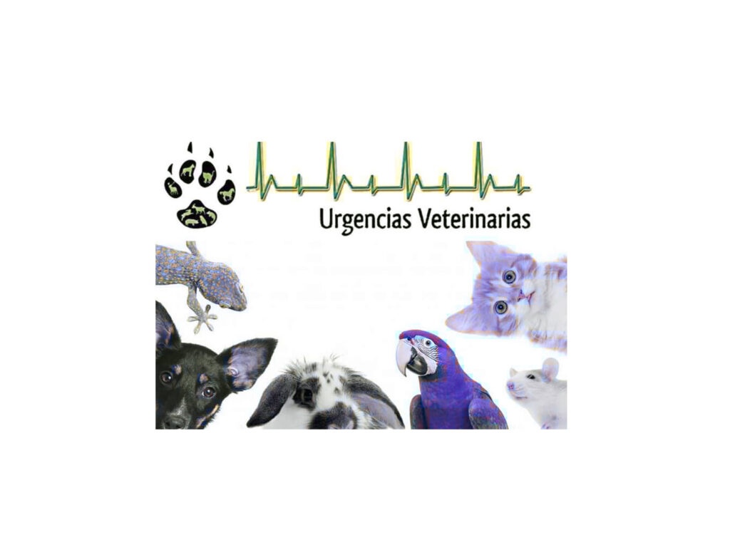 Urgencias Veterinarias