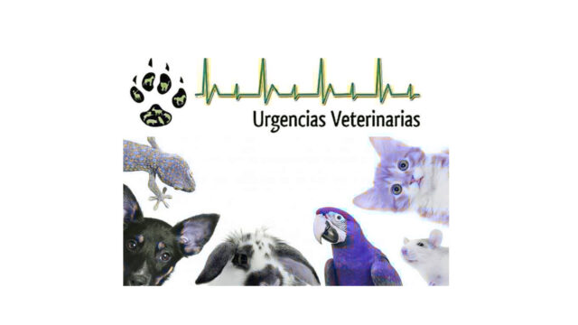 479165264_1294830778256042_8321831421835259295_n