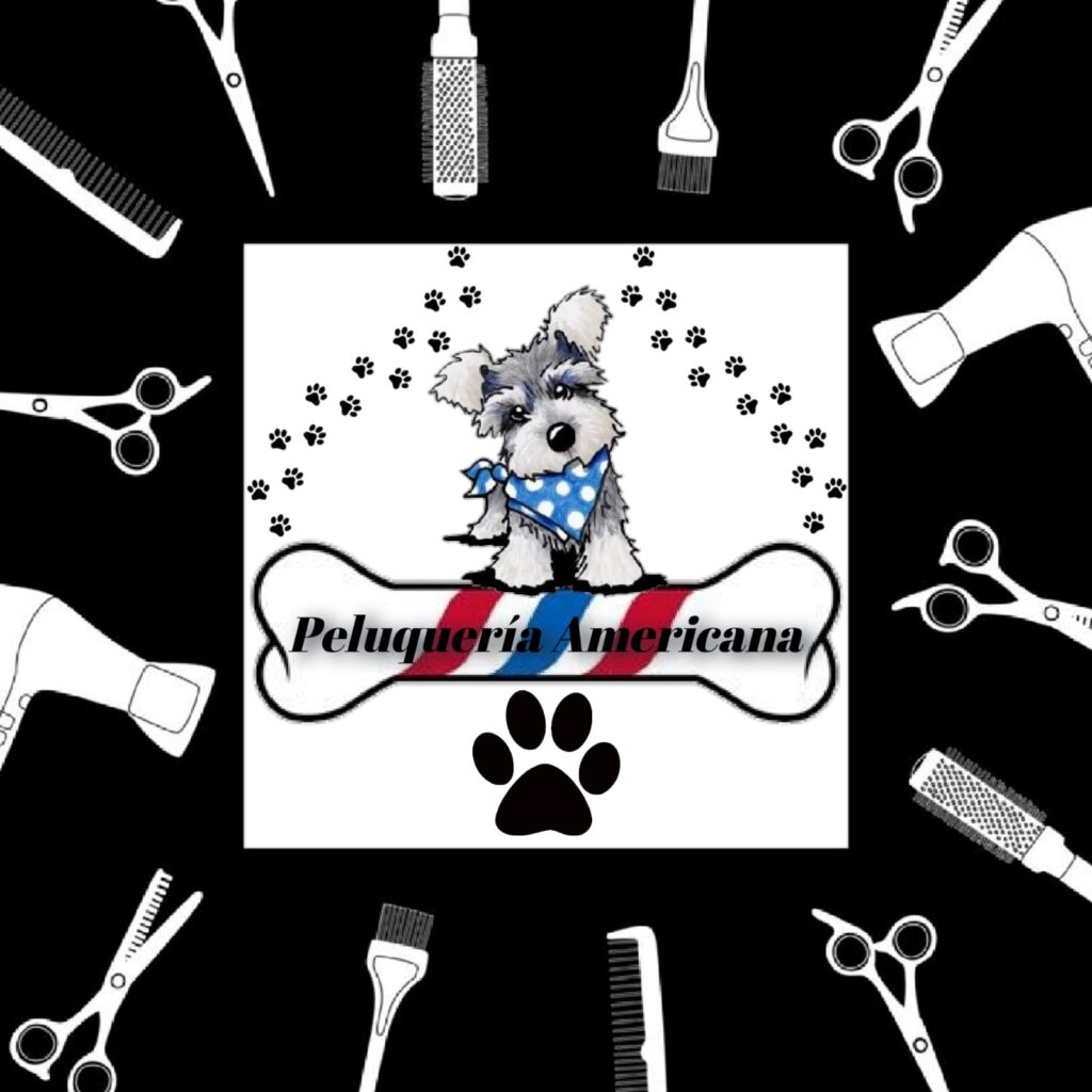 480161921_9274095632648168_8650747037578675015_n