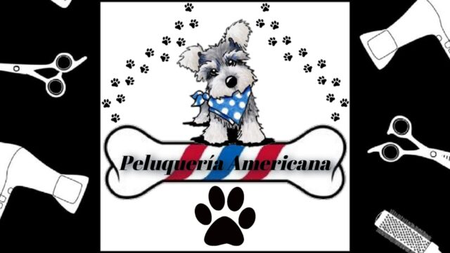 480161921_9274095632648168_8650747037578675015_n