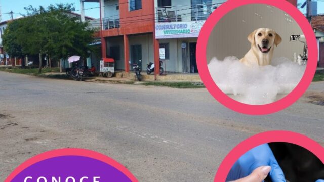 480267293_603320265803962_2075299997047412737_n