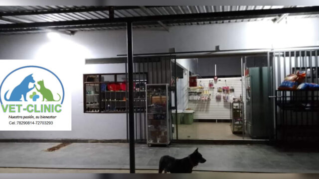 480391223_631457162969697_245354079042275516_n