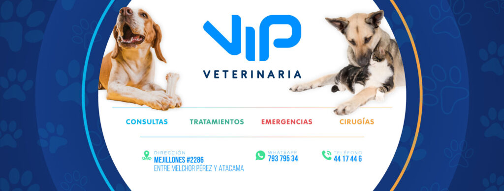 480561724_28617788751201860_2845498301359586700_n