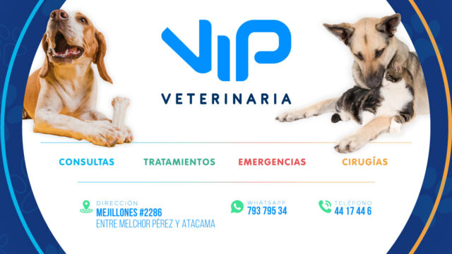 480561724_28617788751201860_2845498301359586700_n