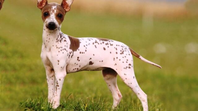 480581031_1297992057939914_7615662664914895240_n