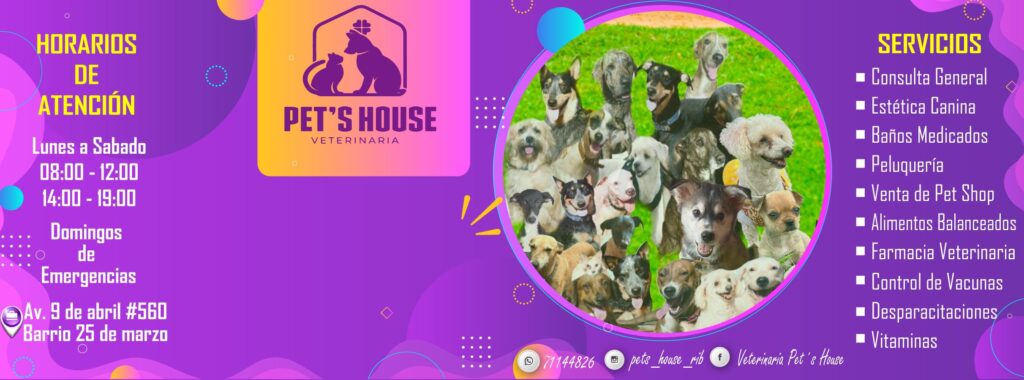 480591354_931104719226940_2724207579075991841_n