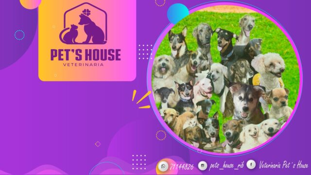 480591354_931104719226940_2724207579075991841_n