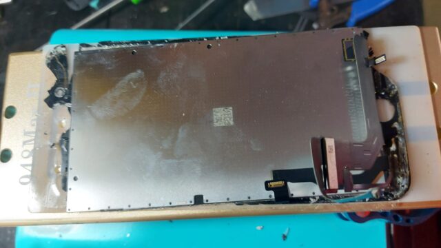 480591709_619427837510486_843697820406293466_n