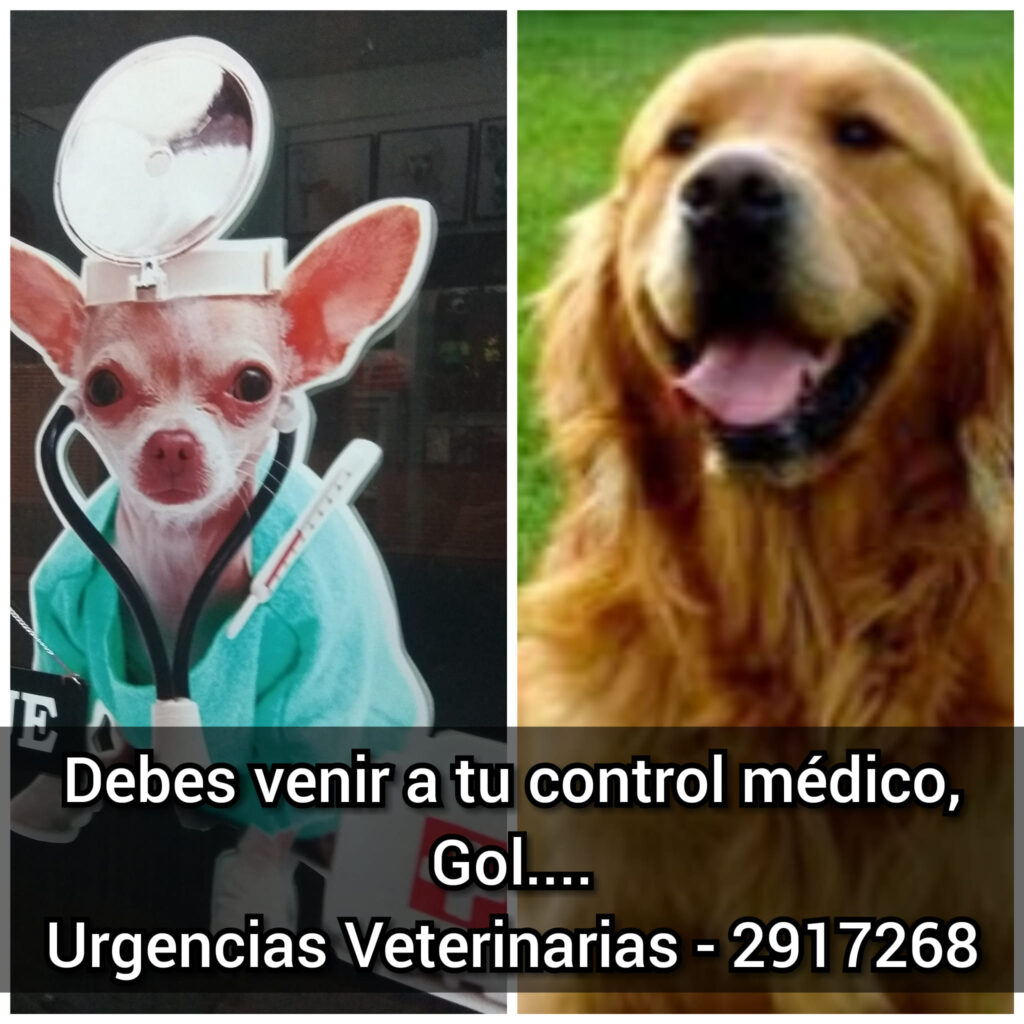 480662910_4216283205258475_8284806831172773620_n