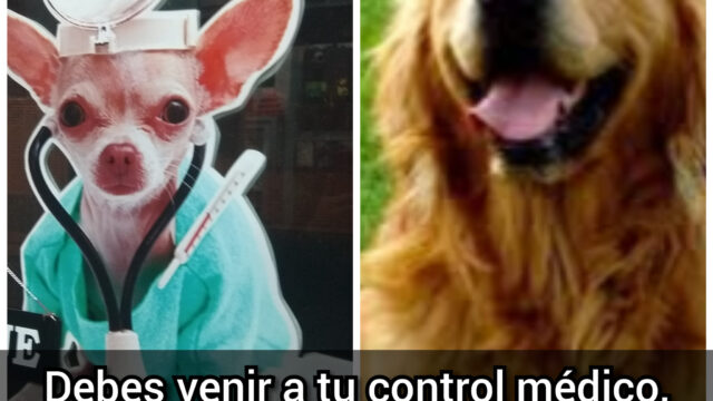 480662910_4216283205258475_8284806831172773620_n