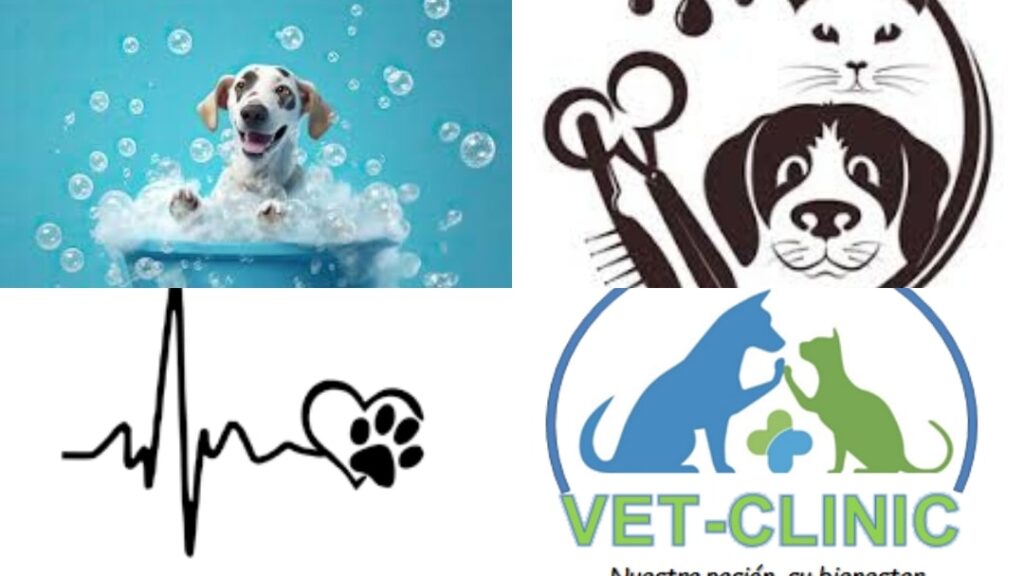 480668935_631015803013833_4763211397405963151_n