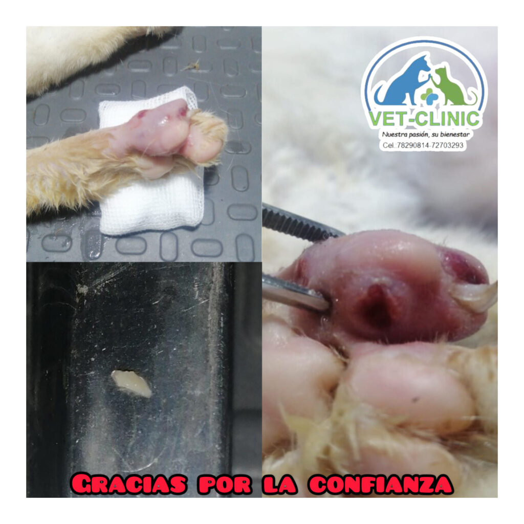 480737822_631453822970031_4532682717386283031_n