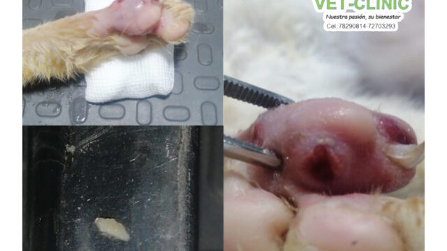 480737822_631453822970031_4532682717386283031_n