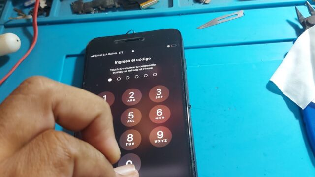 480750040_619428144177122_3346267268480961301_n