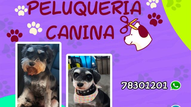 480761192_1345912006756447_4255283021940694919_n