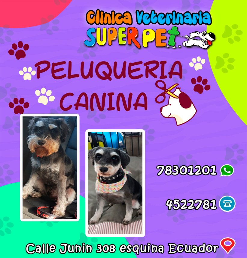 480761192_1345912006756447_4255283021940694919_n