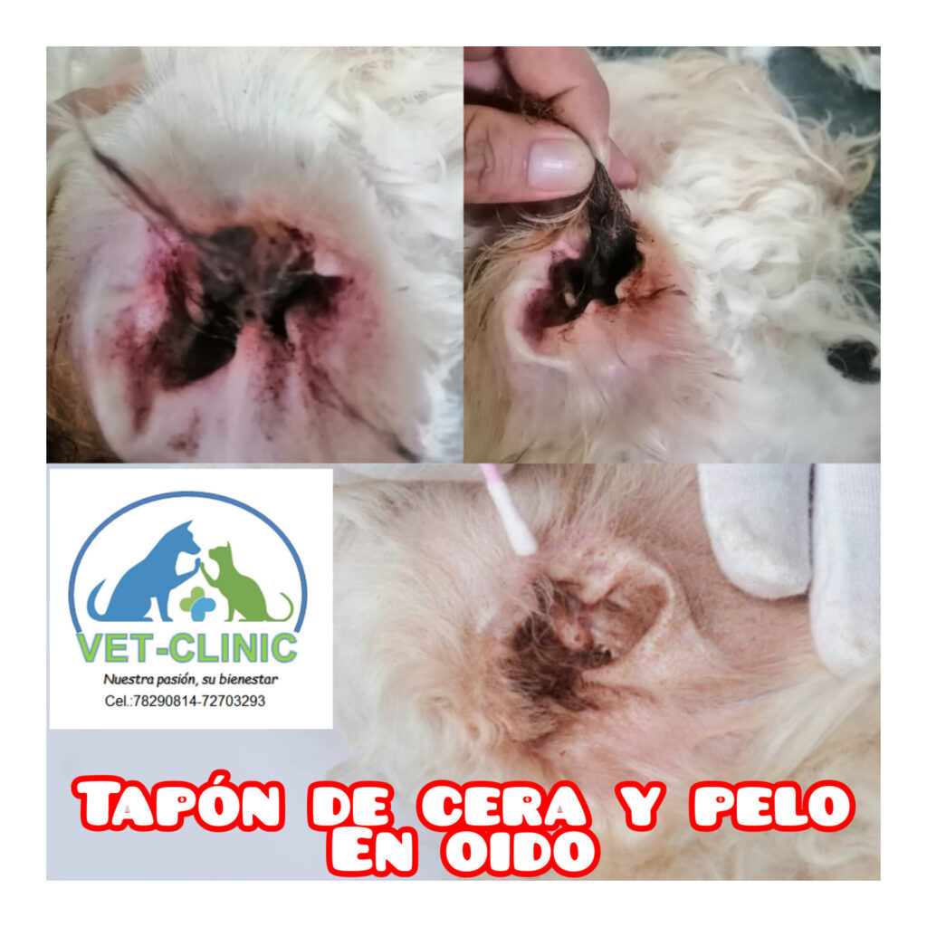 480768347_631458196302927_4157782661687605049_n