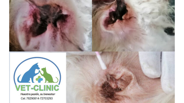 480768347_631458196302927_4157782661687605049_n