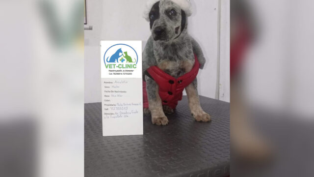 480773332_631456769636403_307163534884872311_n