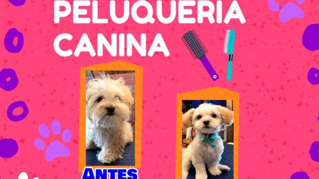 480785790_1345254180155563_672286994335597578_n