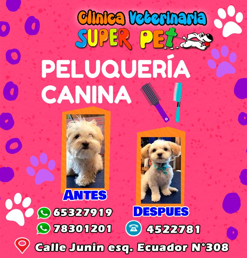 480785790_1345254180155563_672286994335597578_n