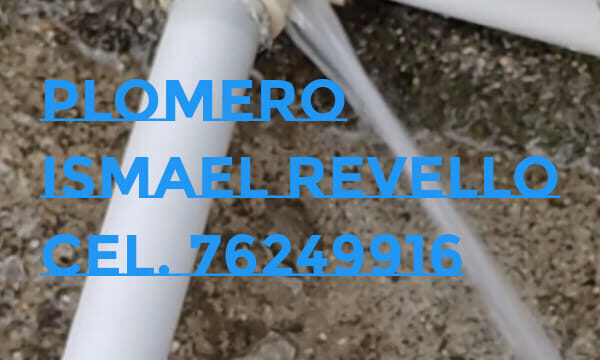 480882129_1089571702967902_5966874770961193961_n