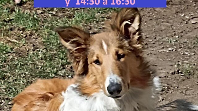 481198422_624368033675721_9109789636304844289_n