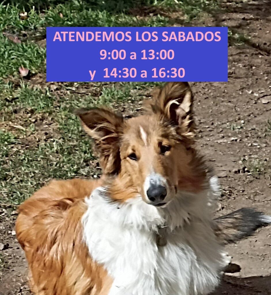 481198422_624368033675721_9109789636304844289_n