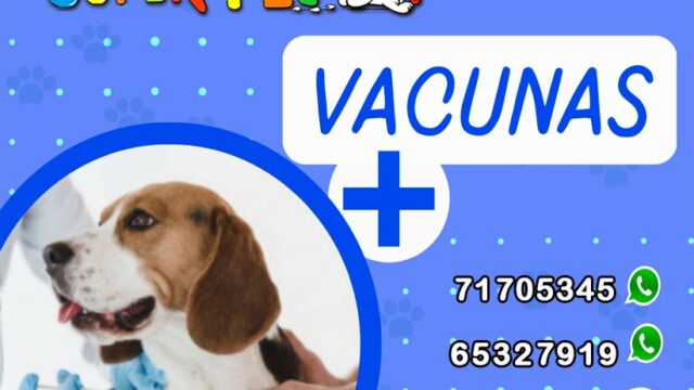 481229634_1345904013423913_4619513175626064872_n