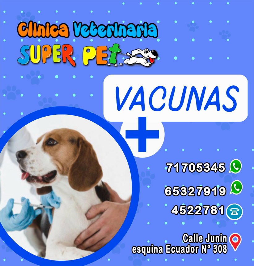 481229634_1345904013423913_4619513175626064872_n