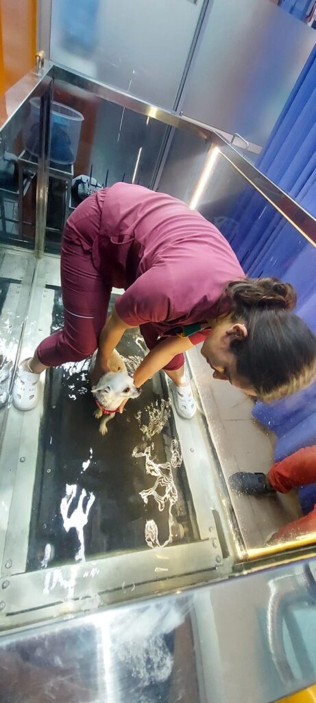 481256711_1303617184044068_2332294503981519176_n