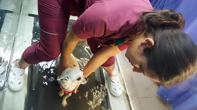 481256711_1303617184044068_2332294503981519176_n