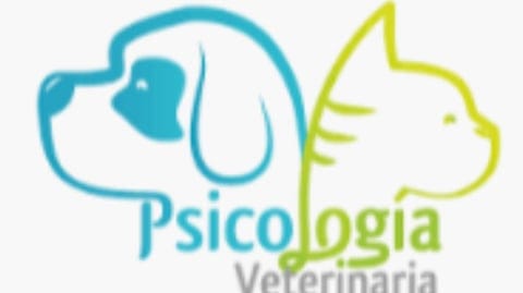 481658912_1550083675871404_8094130784730313740_n