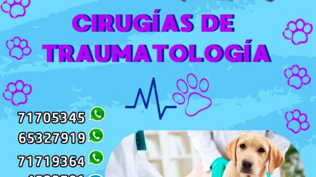 481666272_1346664756681172_12129529083912944_n