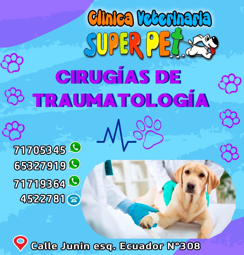 481666272_1346664756681172_12129529083912944_n