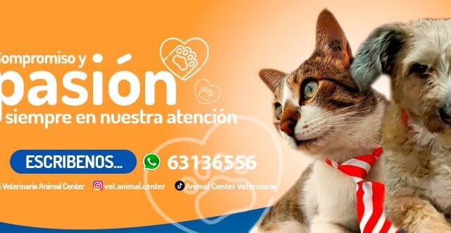 482001052_1156771712903339_7393689003780358177_n