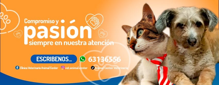 482001052_1156771712903339_7393689003780358177_n