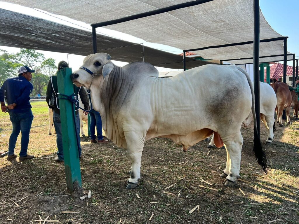 482032637_1051644553659832_6376039345463795507_n