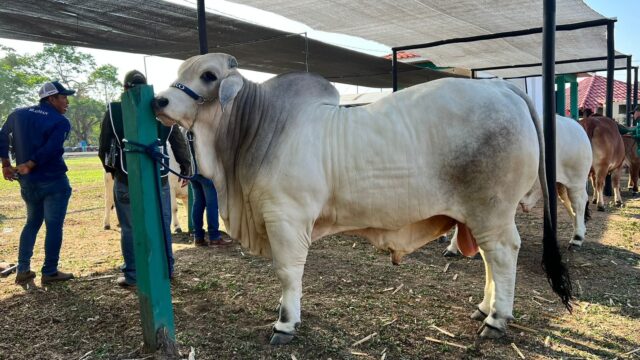 482032637_1051644553659832_6376039345463795507_n