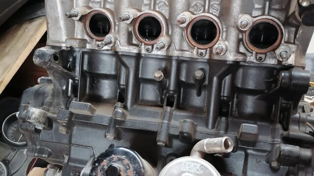 482227347_1432519261489910_7385755485188351790_n